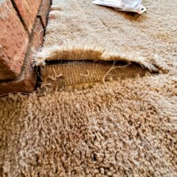 Why Homeowners Are Buying Less Carpet